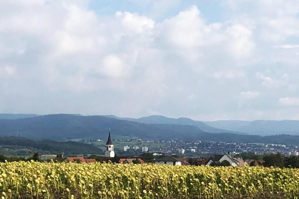 Apartamento Kleines Haeuschen Zum Wohlfuehlen Balingen Exterior foto